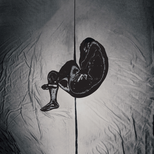 小鸡鸡伸进桃子里麻豆
