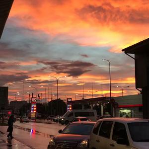 小鸡鸡伸进桃子里麻豆
