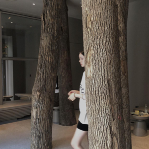 小鸡鸡伸进桃子里麻豆
