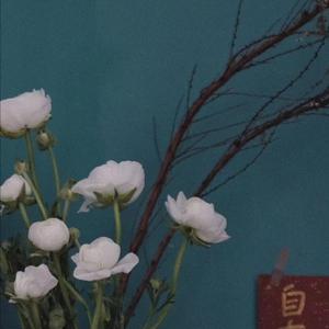 小鸡鸡伸进桃子里麻豆
